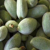 Almond Featured Ingredient - L'Occitane