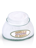 Almond Milk Concentrate