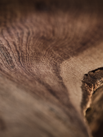 Ambre Cade Home Diffuser