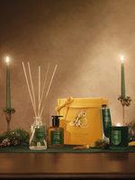 Nuit en Pinède Perfumed Hand Soap - Illustration 2
